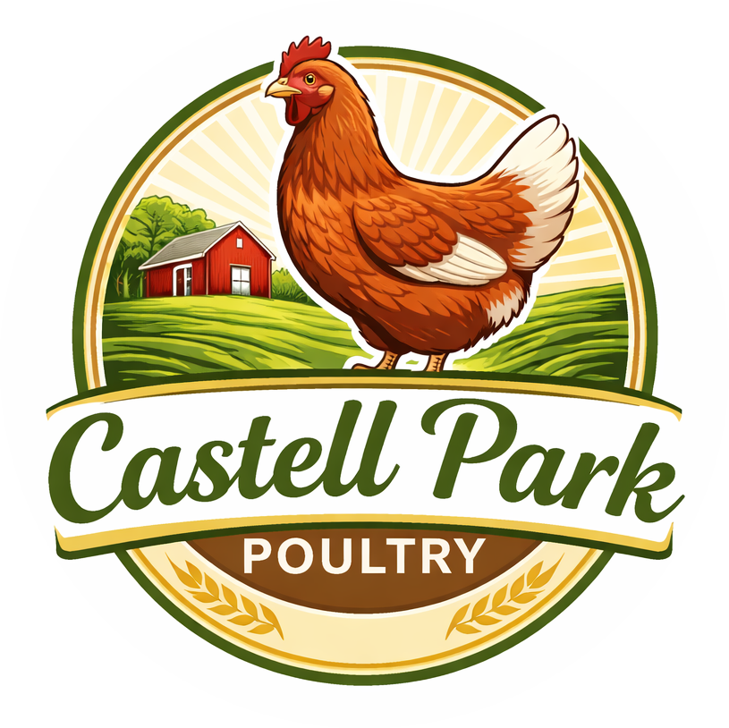 Castell Park